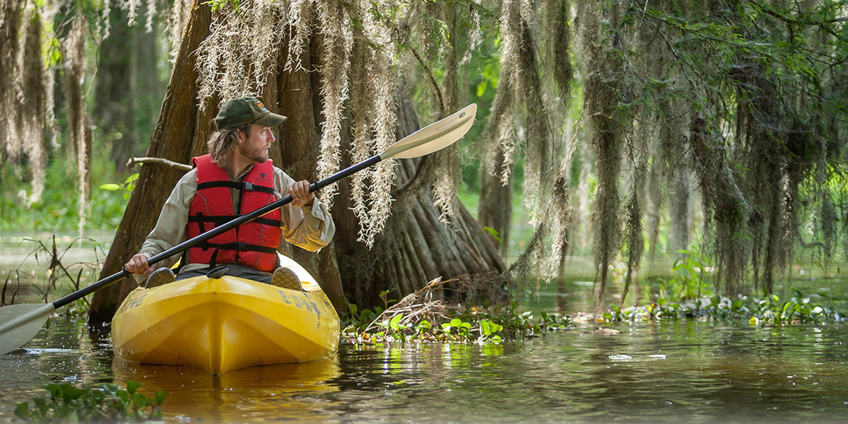 Swamp tours Louisiana